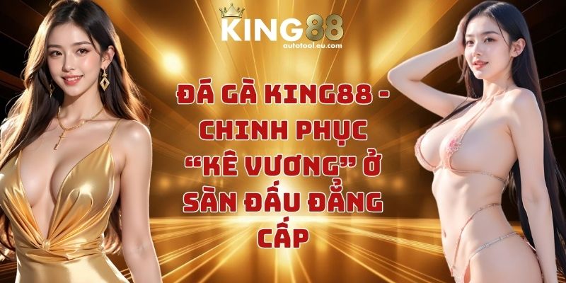 Đá gà KING88