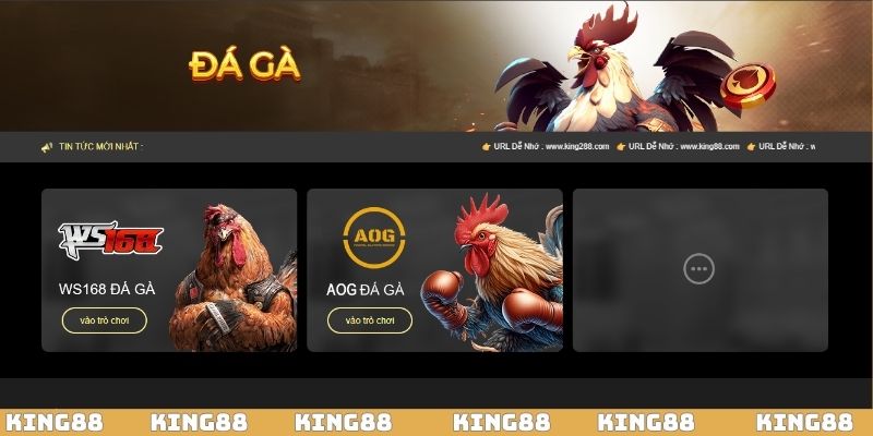 Đá gà KING88 trực tiếp Full HD từ trường gà Thomo